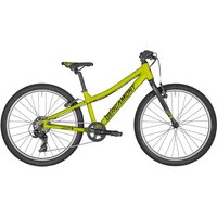 Bergamont Revox Lite 24w 2020 - Junior Bike