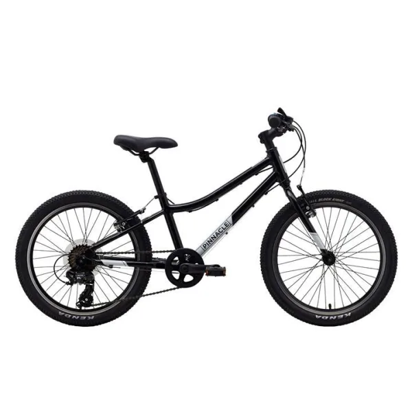 Pinnacle Ash 20 Inch Kids Bike - Black